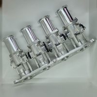 MG Rover Throttle Bodies